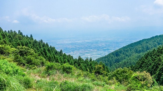 e0176993_07224890.jpg