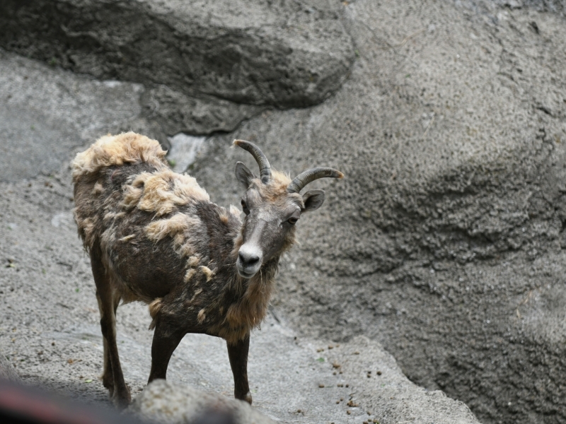 生まれたよ、頑張ってるよ_a0164204_09000770.jpg