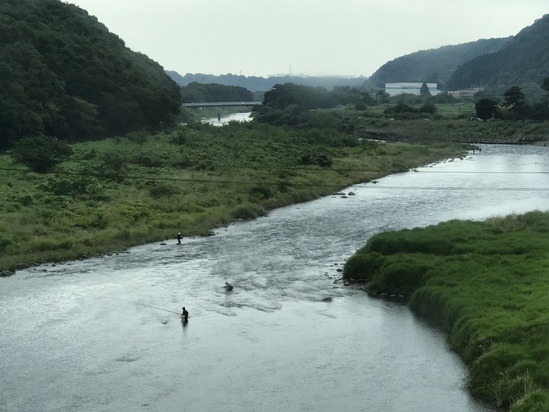 岩国のお酒「五橋」(ごきょう)_c0212604_1512393.jpg
