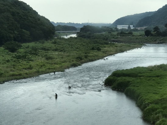 岩国のお酒「五橋」（ごきょう）_c0212604_1512393.jpg