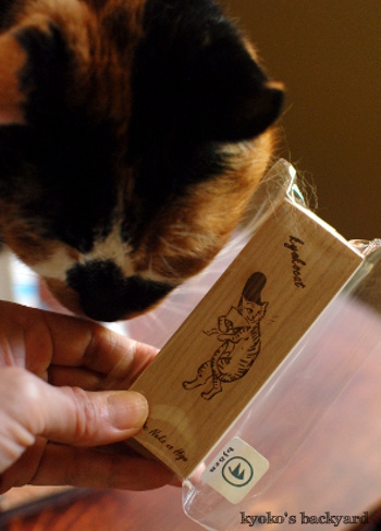 猫サミットの記念品&お土産_b0253205_06432137.jpg