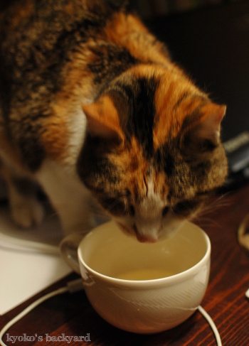 美味しいから問題なし!_b0253205_07405884.jpg