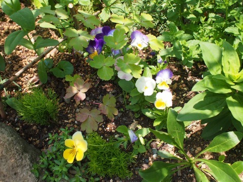 c0117007_20284623.jpg