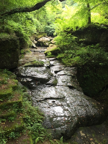 f0364707_10070734.jpg
