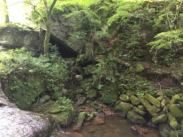 f0364707_10072330.jpg