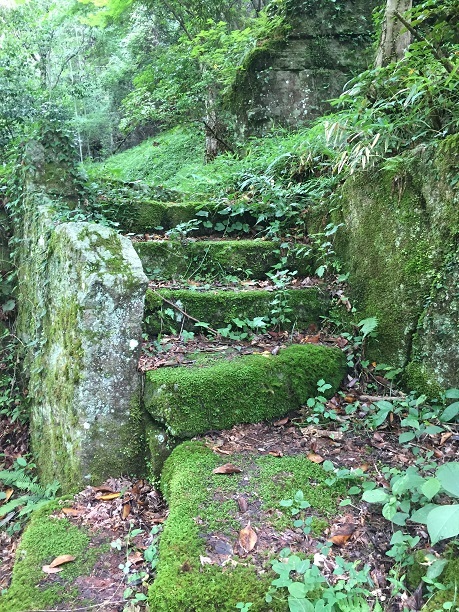 f0364707_10073269.jpg