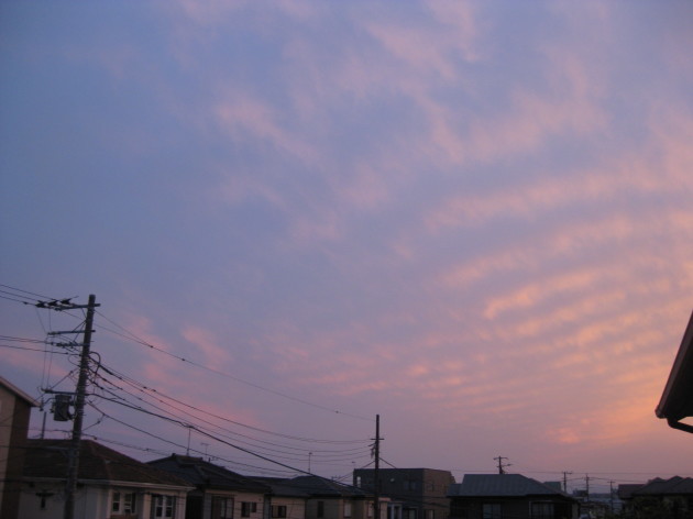 b0183111_07145029.jpg