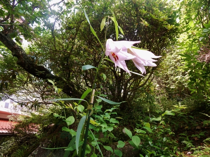 f0182513_17073633.jpg