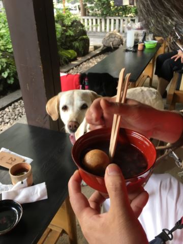 c0114121_0334525.jpg