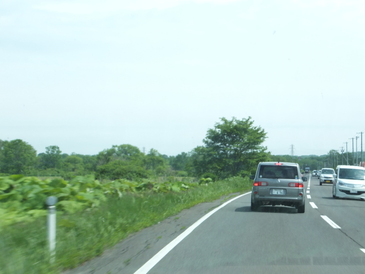 c0191622_23415598.jpg
