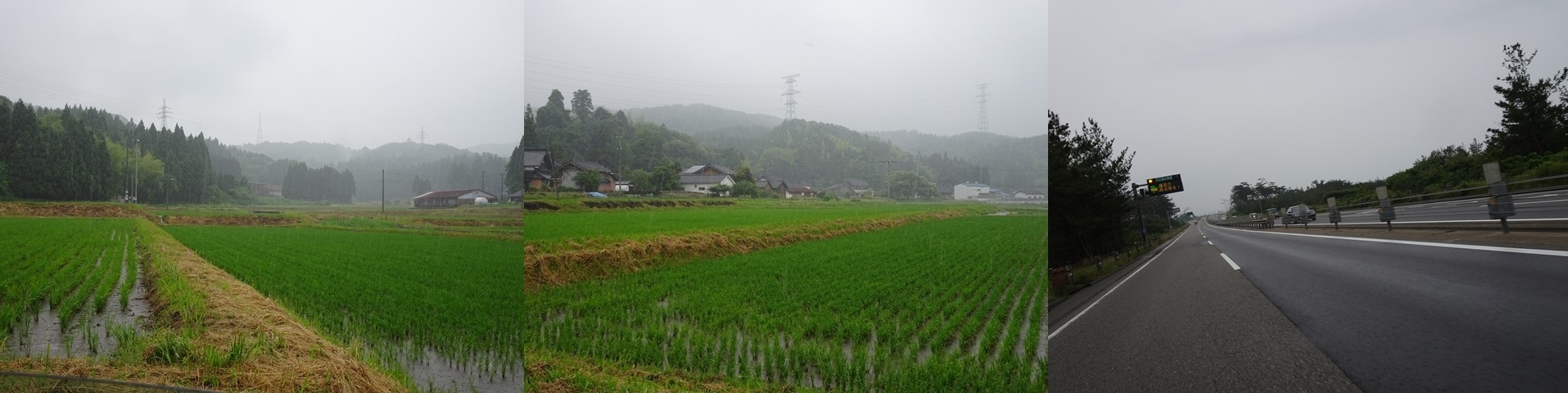 梅雨の金沢にて～産業医講習会_b0115629_14354939.jpg