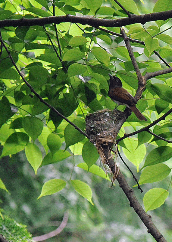 d0290240_09075761.gif