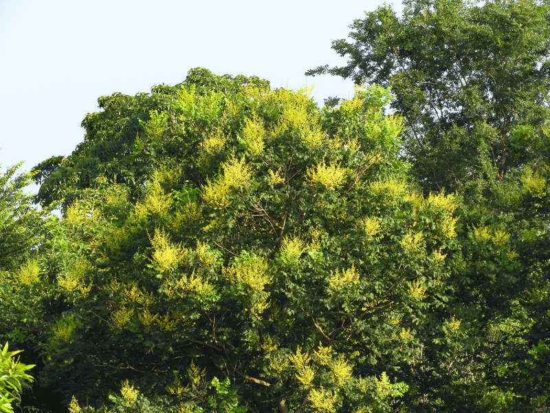 d0290240_09244378.gif