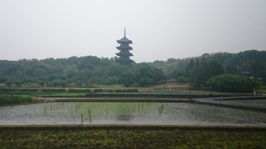 f0037753_07371659.jpg