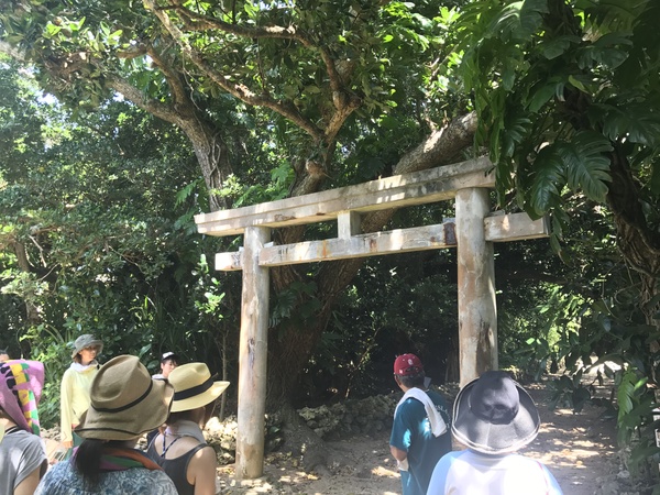 PANARIの神様にお会いした 2017.6.23_b0002156_10491266.jpg