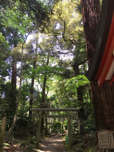 鹿島神宮、鹿島灘、茨城県の旅_e0064860_09432199.jpg