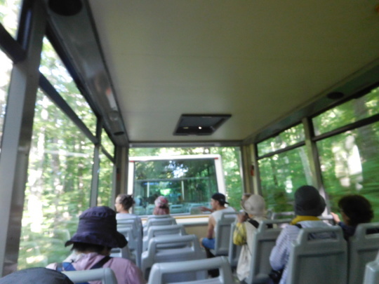’17,6,25(日)と貝のお寿司とプリトヴィッツェ散策㉒!_f0060461_09311070.jpg