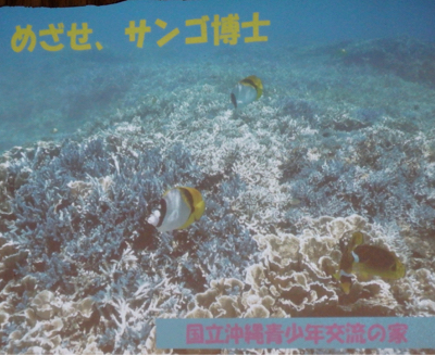 d0357065_16140265.jpg