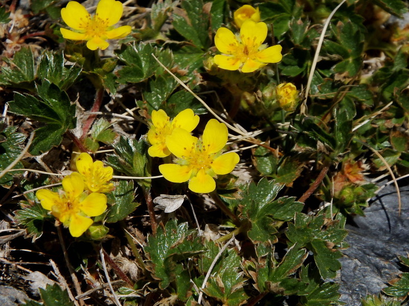 f0372177_18223341.jpg