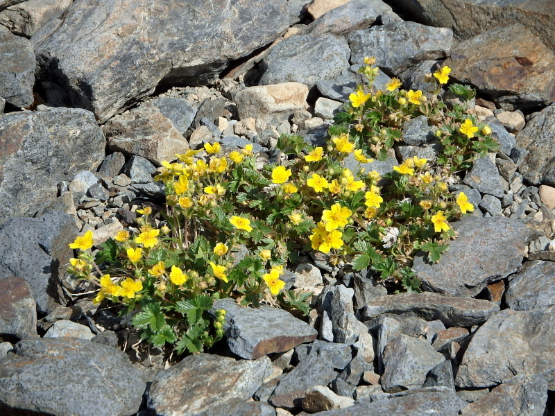 f0372177_18223899.jpg