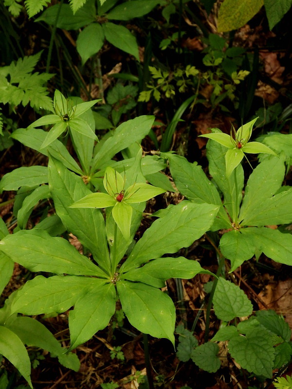 f0372177_18241150.jpg