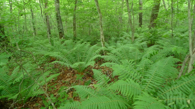 c0212083_19173399.jpg
