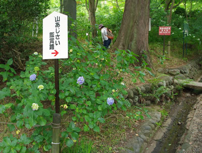 b0123486_16140542.jpg