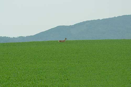 f0212586_7572897.jpg