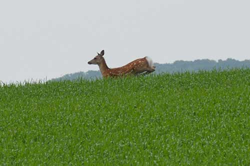 f0212586_862054.jpg
