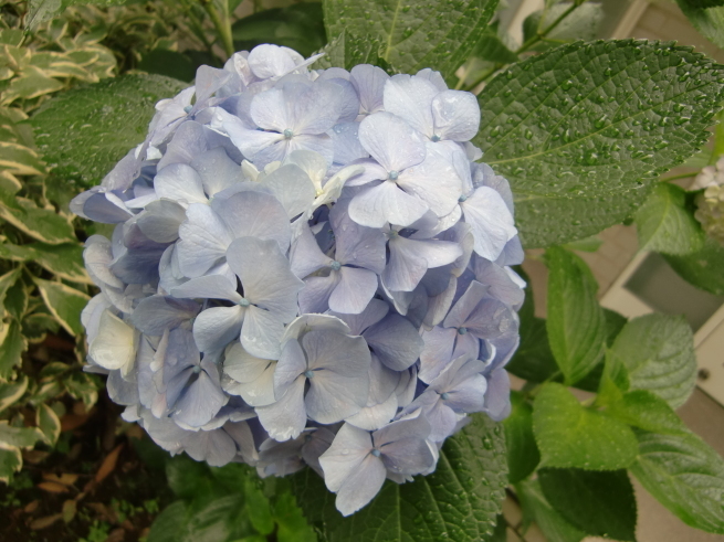 ちっちゃなお客様ご来園!その②_b0263390_15022937.jpg