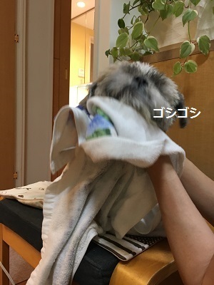 f0372998_21070088.jpg