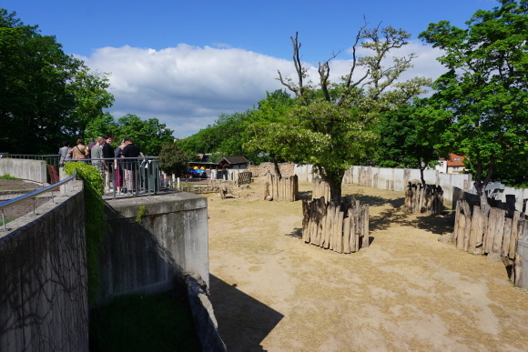 ハレ動物園の象たち_f0362800_16135724.jpg