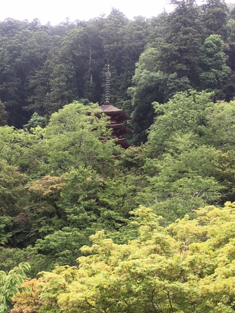 a0123003_09180350.jpg