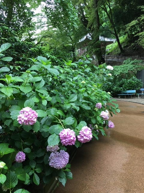 a0123003_09190781.jpg