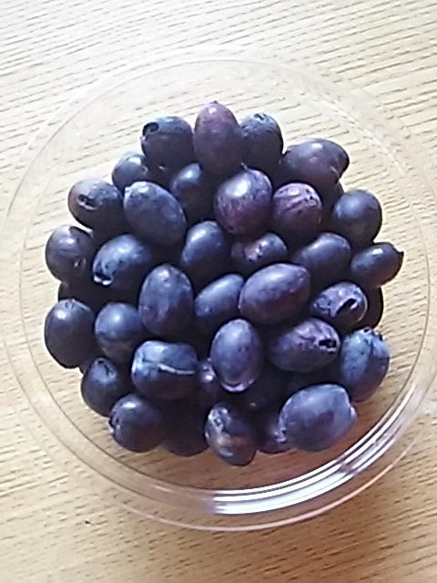 f0316507_12482149.jpg