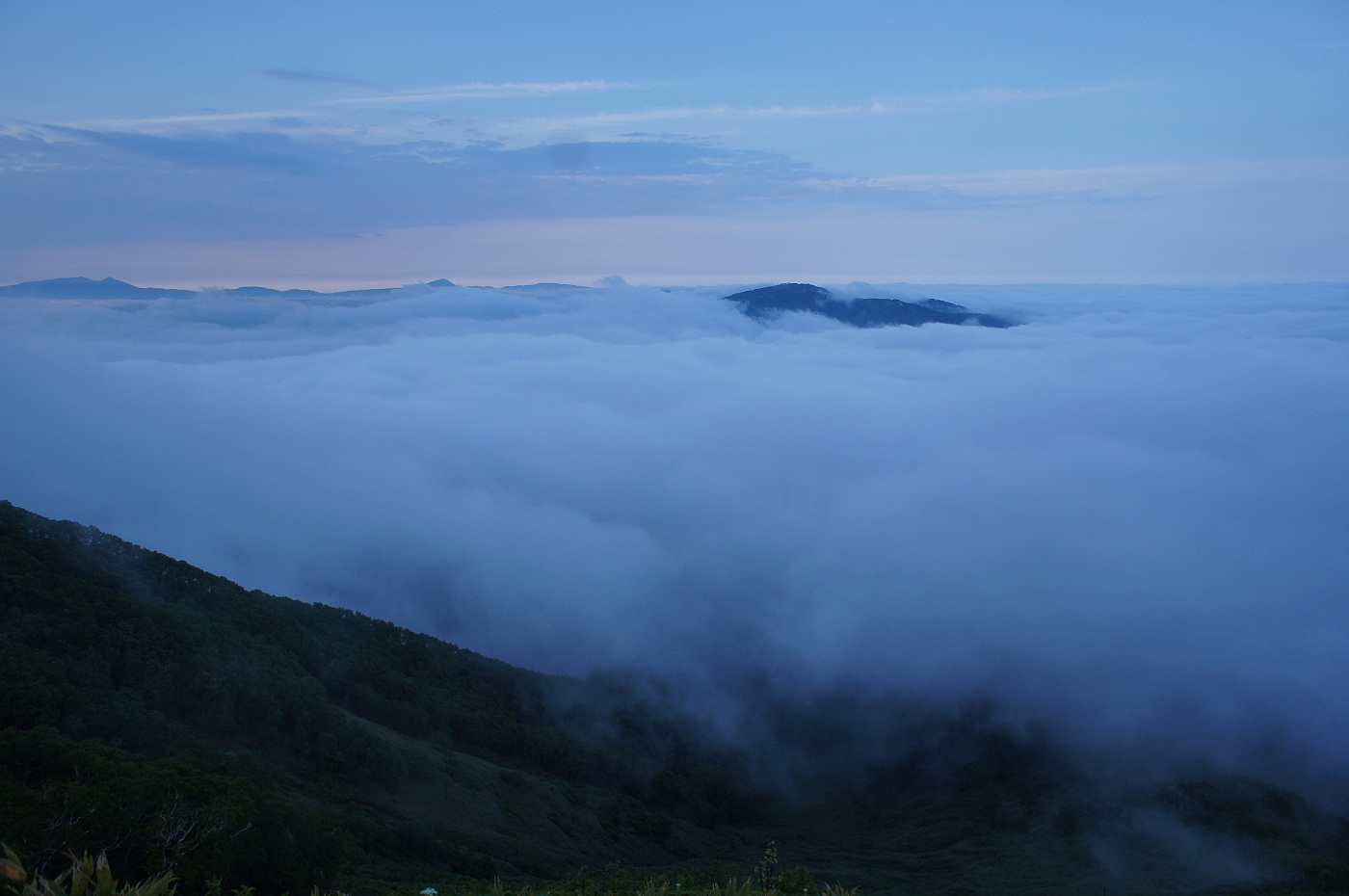 a0248508_6481098.jpg