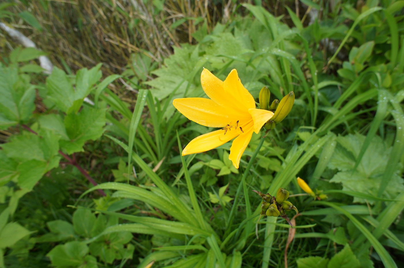 a0248508_6554647.jpg