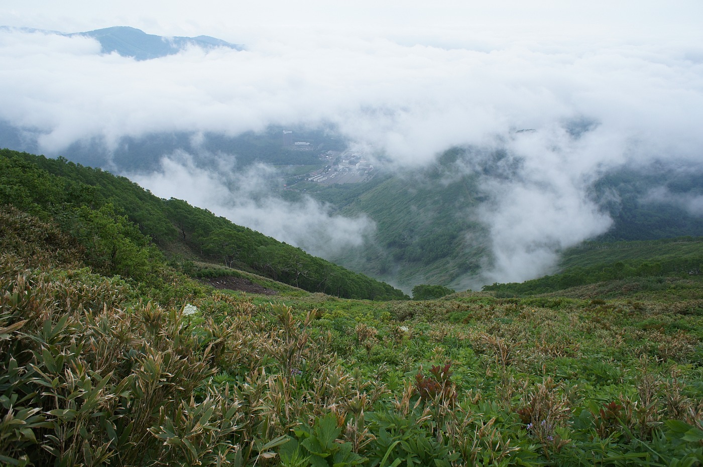 a0248508_6583266.jpg