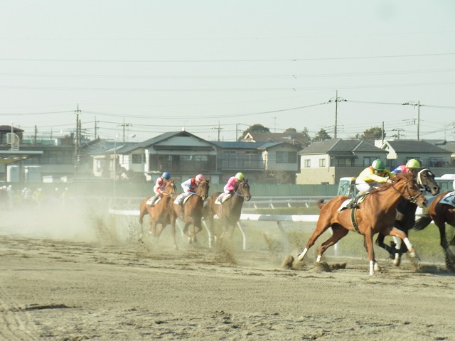 浦和競馬場_d0369711_12350821.jpg