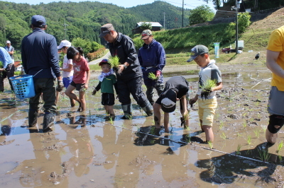 H29田んぼアート稲作体験～田植え編～_b0281312_15403624.jpg