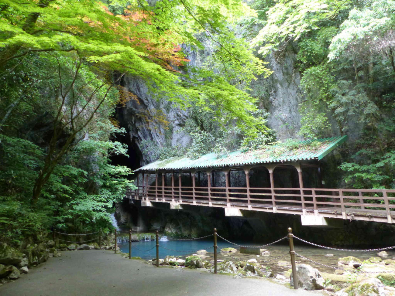 山口、九州の旅(1日目)_f0296312_11513132.jpg