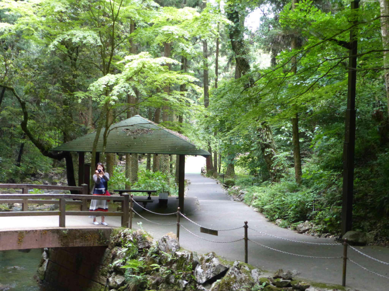 山口、九州の旅(1日目)_f0296312_11513226.jpg