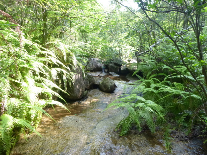 d0170615_17362581.jpg