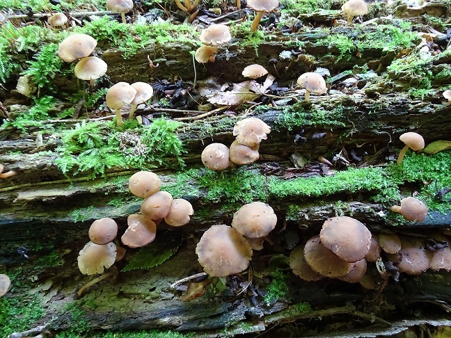 f0360815_16032013.jpg