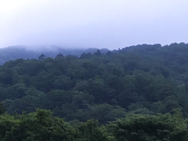 c0346119_21052132.jpg
