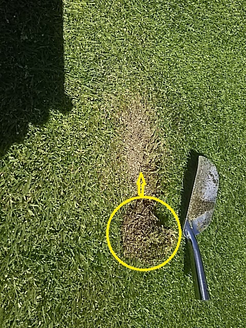 f0227321_19203079.jpg