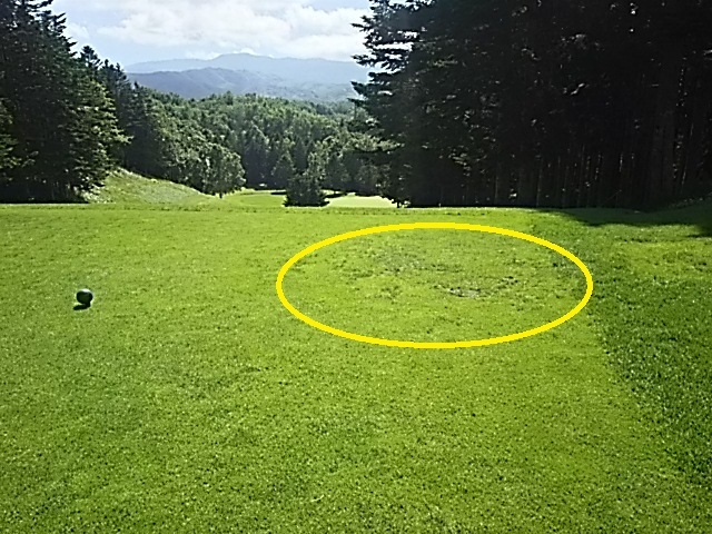 f0227321_19231611.jpg