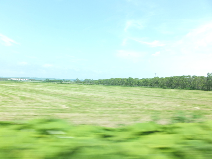 c0191622_00083872.jpg
