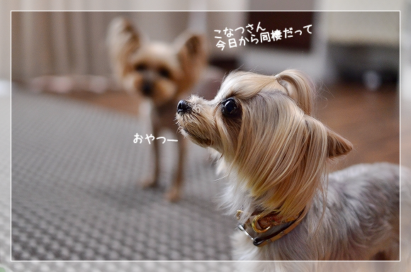 d0179828_18493304.png