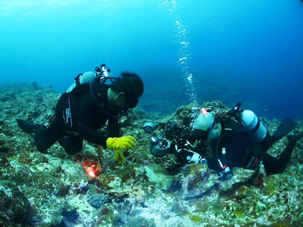 a0189838_13485540.jpg